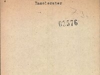 13 Incolorator